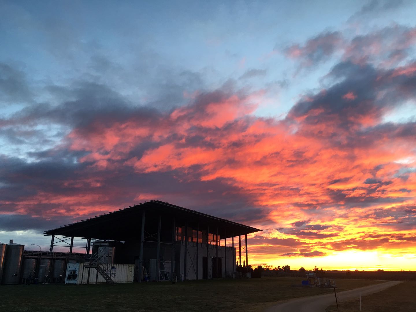 Solar project featured by Deep Energy at a Hawke's Bay vineyard